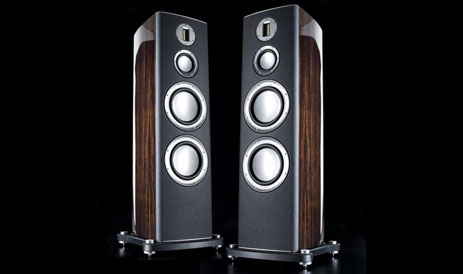 Platinum PL300